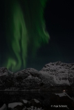 2025-Lofoten-Diashow-362-von-597