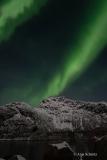 2025-Lofoten-Diashow-372-von-597