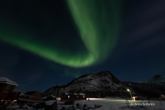 2025-Lofoten-Diashow-378-von-597