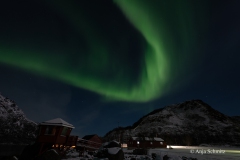 2025-Lofoten-Diashow-380-von-597