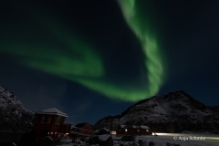 2025-Lofoten-Diashow-383-von-597
