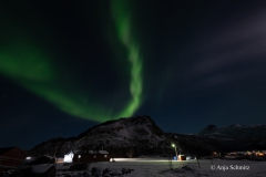2025-Lofoten-Diashow-384-von-597
