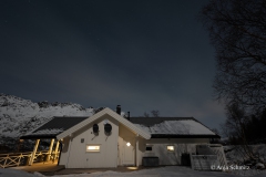 2025-Lofoten-Diashow-393-von-597