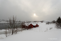 2025-Lofoten-Diashow-403-von-597