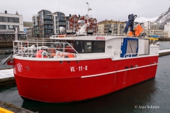 2025-Lofoten-Diashow-42-von-597