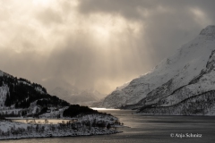 2025-Lofoten-Diashow-425-von-597