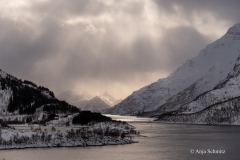2025-Lofoten-Diashow-426-von-597
