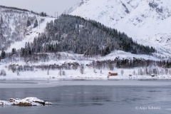2025-Lofoten-Diashow-431-von-597
