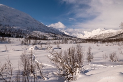 2025-Lofoten-Diashow-434-von-597