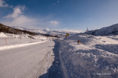 2025-Lofoten-Diashow-435-von-597