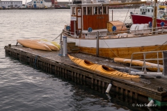 2025-Lofoten-Diashow-44-von-597