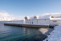 2025-Lofoten-Diashow-442-von-597