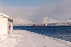 2025-Lofoten-Diashow-443-von-597