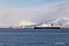 2025-Lofoten-Diashow-445-von-597