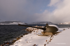 2025-Lofoten-Diashow-457-von-597