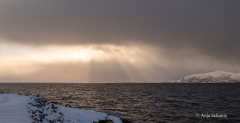 2025-Lofoten-Diashow-459-von-597