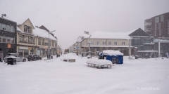 2025-Lofoten-Diashow-462-von-597