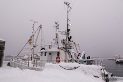 2025-Lofoten-Diashow-466-von-597