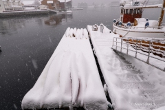 2025-Lofoten-Diashow-467-von-597
