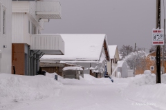 2025-Lofoten-Diashow-477-von-597