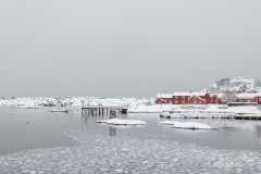 2025-Lofoten-Diashow-481-von-597