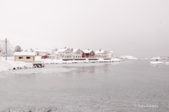 2025-Lofoten-Diashow-483-von-597