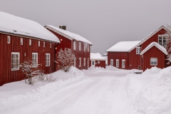 2025-Lofoten-Diashow-485-von-597