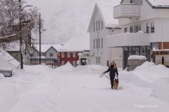 2025-Lofoten-Diashow-490-von-597