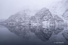 2025-Lofoten-Diashow-492-von-597
