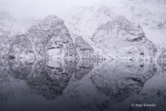 2025-Lofoten-Diashow-493-von-597