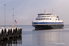 2025-Lofoten-Diashow-498-von-597