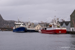 2025-Lofoten-Diashow-50-von-597