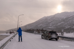 2025-Lofoten-Diashow-515-von-597