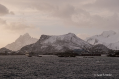 2025-Lofoten-Diashow-52-von-597