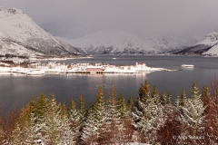 2025-Lofoten-Diashow-533-von-597