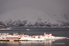 2025-Lofoten-Diashow-534-von-597