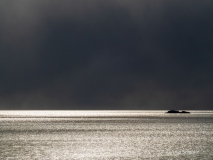 2025-Lofoten-Diashow-541-von-597