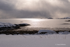 2025-Lofoten-Diashow-542-von-597