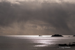 2025-Lofoten-Diashow-545-von-597
