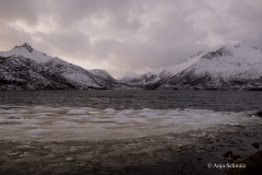 2025-Lofoten-Diashow-55-von-597