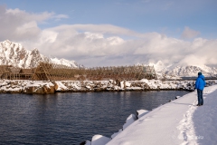 2025-Lofoten-Diashow-556-von-597