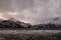 2025-Lofoten-Diashow-56-von-597
