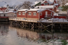2025-Lofoten-Diashow-568-von-597