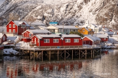 2025-Lofoten-Diashow-570-von-597