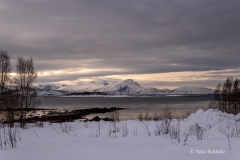 2025-Lofoten-Diashow-580-von-597