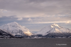 2025-Lofoten-Diashow-581-von-597