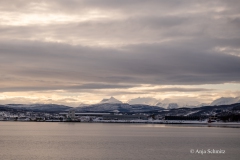 2025-Lofoten-Diashow-584-von-597
