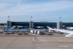 2025-Lofoten-Diashow-596-von-597