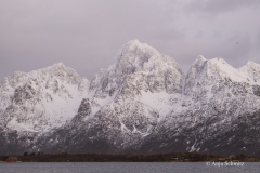 2025-Lofoten-Diashow-60-von-597