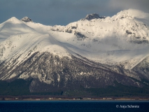 2025-Lofoten-Diashow-63-von-597